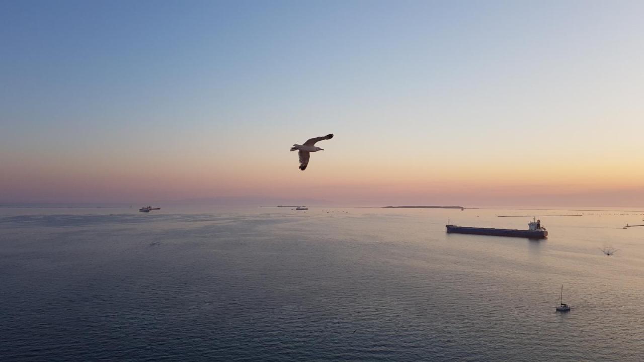 タラントAmanda'S Panoramaアパートメント エクステリア 写真
