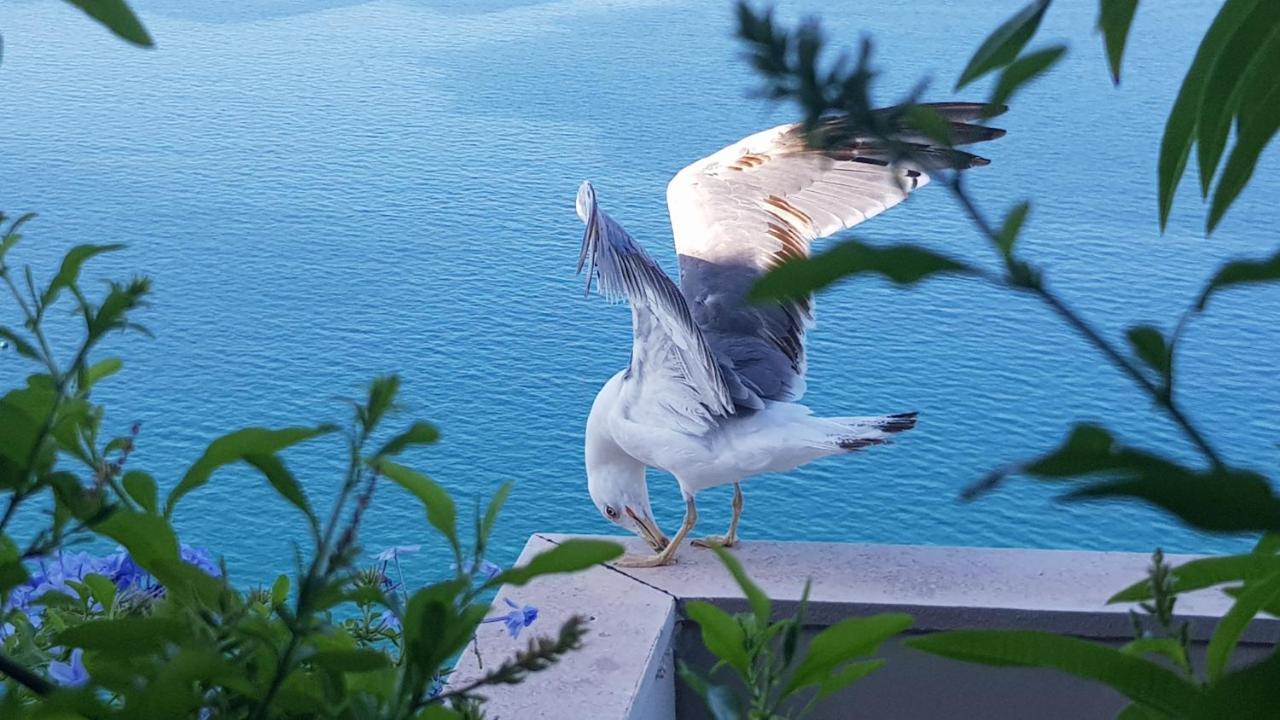 タラントAmanda'S Panoramaアパートメント エクステリア 写真